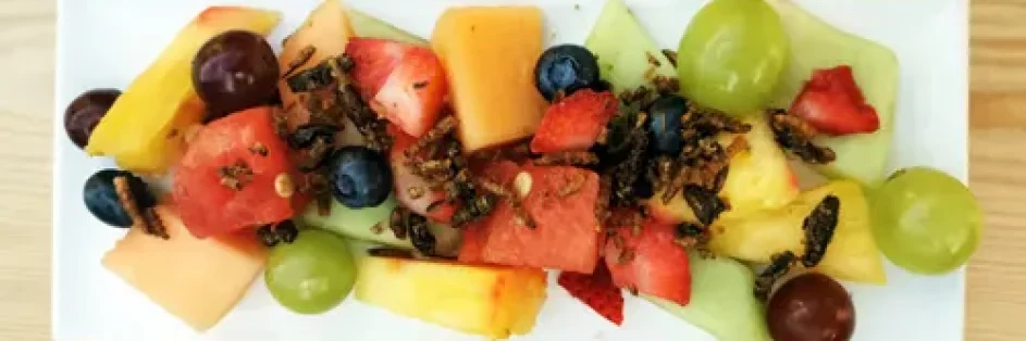 Salade de fruits aux insectes