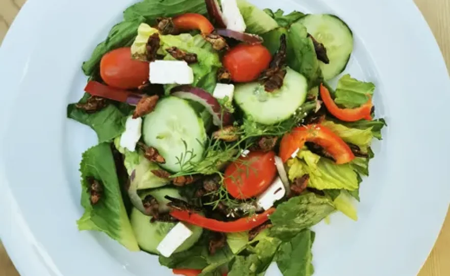 Salade verte aux grillons