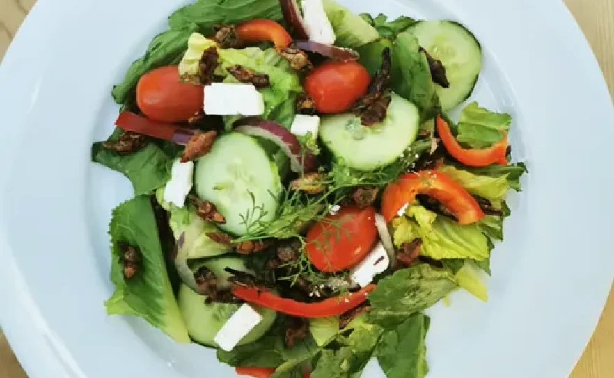 Salade verte aux grillons