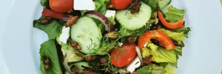 Salade verte aux grillons