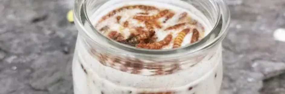 Smoothie fraise banane aux insectes