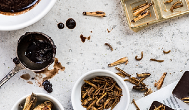 Les insectes sont bons pour la santé!