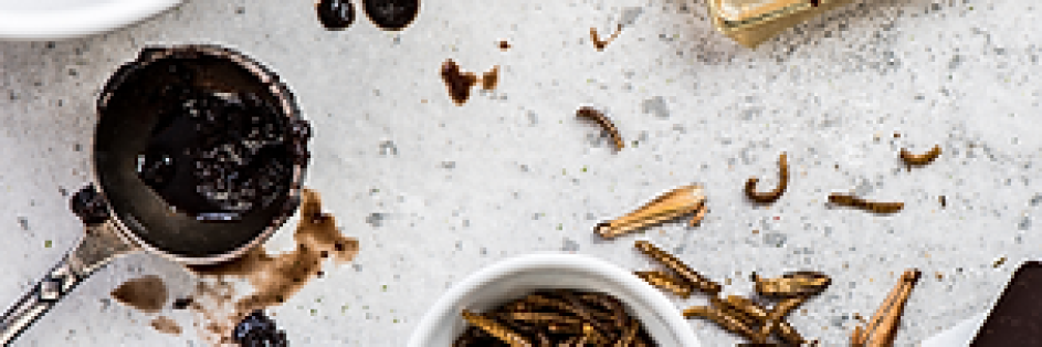 Les insectes sont bons pour la santé!